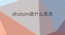 dhalsim是什么意思 dhalsim的中文翻译、读音、例句