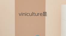 viniculture是什么意思 viniculture的中文翻译、读音、例句