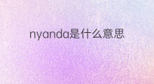 nyanda是什么意思 nyanda的中文翻译、读音、例句