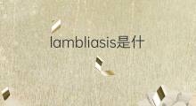 lambliasis是什么意思 lambliasis的翻译、读音、例句、中文解释