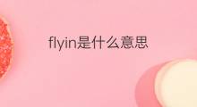 flyin是什么意思 flyin的中文翻译、读音、例句