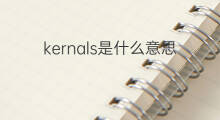 kernals是什么意思 kernals的翻译、读音、例句、中文解释