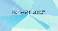 bailey是什么意思 bailey的中文翻译、读音、例句