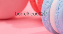 barrelhead是什么意思 barrelhead的中文翻译、读音、例句