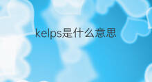 kelps是什么意思 kelps的中文翻译、读音、例句