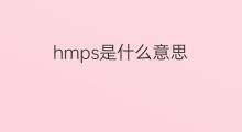 hmps是什么意思 hmps的中文翻译、读音、例句