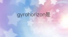 gyrohorizon是什么意思 gyrohorizon的中文翻译、读音、例句