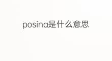 posina是什么意思 posina的中文翻译、读音、例句