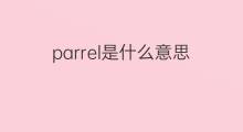 parrel是什么意思 parrel的中文翻译、读音、例句
