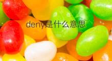 deny是什么意思 deny的中文翻译、读音、例句