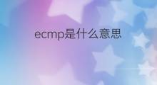ecmp是什么意思 ecmp的翻译、读音、例句、中文解释