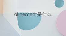 alinement是什么意思 alinement的中文翻译、读音、例句