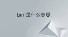 bim是什么意思 bim的中文翻译、读音、例句