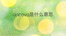 ancova是什么意思 ancova的中文翻译、读音、例句