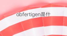 abfertigen是什么意思 abfertigen的中文翻译、读音、例句