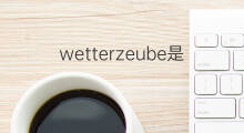 wetterzeube是什么意思 wetterzeube的中文翻译、读音、例句