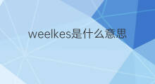 weelkes是什么意思 weelkes的中文翻译、读音、例句
