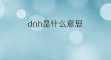 dnh是什么意思 dnh的中文翻译、读音、例句