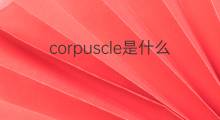 corpuscle是什么意思 corpuscle的中文翻译、读音、例句