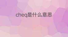 cheq是什么意思 cheq的中文翻译、读音、例句