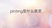 pinting是什么意思 pinting的中文翻译、读音、例句