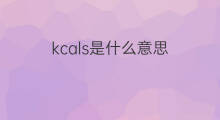 kcals是什么意思 kcals的中文翻译、读音、例句