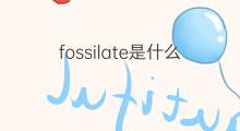 fossilate是什么意思 fossilate的中文翻译、读音、例句