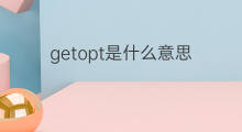 getopt是什么意思 getopt的中文翻译、读音、例句