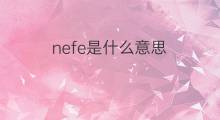 nefe是什么意思 nefe的中文翻译、读音、例句