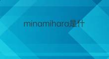 minamihara是什么意思 minamihara的中文翻译、读音、例句