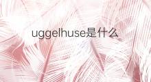 uggelhuse是什么意思 uggelhuse的中文翻译、读音、例句