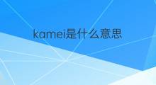 kamei是什么意思 kamei的中文翻译、读音、例句