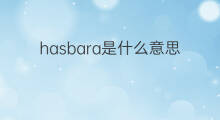 hasbara是什么意思 hasbara的中文翻译、读音、例句