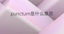 punctum是什么意思 punctum的中文翻译、读音、例句