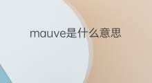 mauve是什么意思 mauve的中文翻译、读音、例句