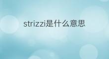 strizzi是什么意思 strizzi的中文翻译、读音、例句