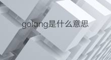 golang是什么意思 golang的中文翻译、读音、例句