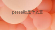 pessella是什么意思 pessella的中文翻译、读音、例句