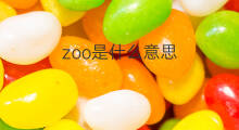 zoo是什么意思 zoo的中文翻译、读音、例句