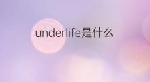 underlife是什么意思 underlife的中文翻译、读音、例句