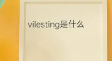vilesting是什么意思 vilesting的中文翻译、读音、例句