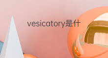 vesicatory是什么意思 vesicatory的中文翻译、读音、例句