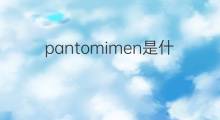 pantomimen是什么意思 pantomimen的中文翻译、读音、例句