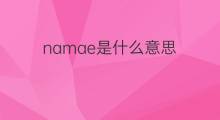 namae是什么意思 namae的中文翻译、读音、例句