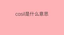 casil是什么意思 casil的中文翻译、读音、例句