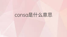 consa是什么意思 consa的中文翻译、读音、例句