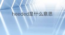 heeded是什么意思 heeded的中文翻译、读音、例句