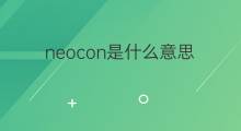 neocon是什么意思 neocon的中文翻译、读音、例句