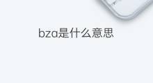 bza是什么意思 bza的翻译、读音、例句、中文解释