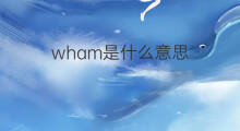 wham是什么意思 wham的中文翻译、读音、例句